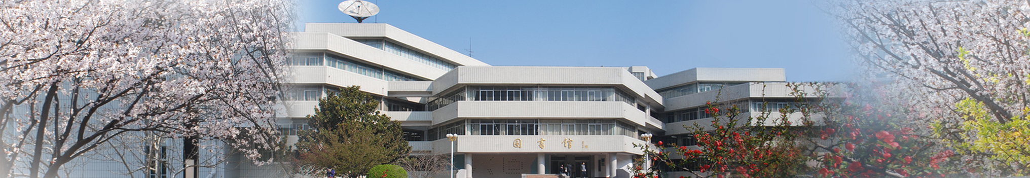 图书馆